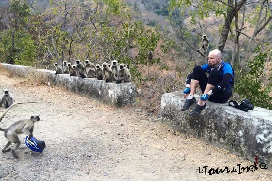 11 Days Rajasthan Boutique Cycling Tour